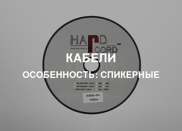 Особенность: Спикерные